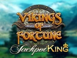 Vikings of Fortune JK screenshot